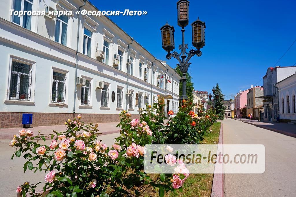 Феодосия - цветущий город Феодосия - цветущий город