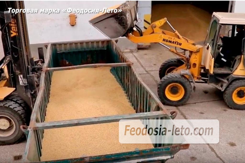 работа зернового терминала Новости Феодосии. Март, апрель 2019 года