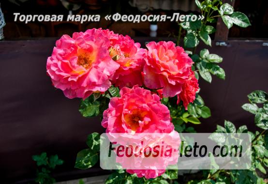 Гостевой дом в Береговом на улице Курская - фотография № 31