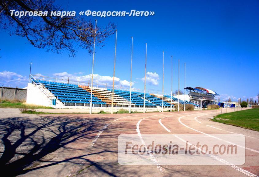 Стадионы Феодосии - фотография № 9