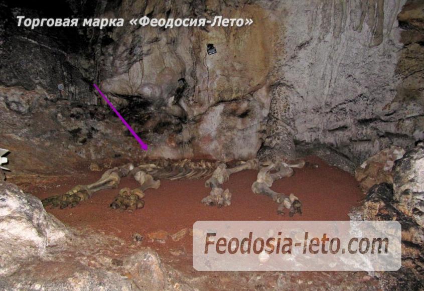 Феодосия экскурсии. Мраморные пещеры - фотография № 18
