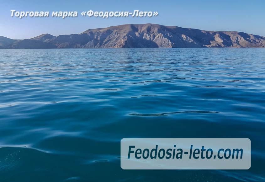 Морские экскурсии в Феодосии - фотография № 33