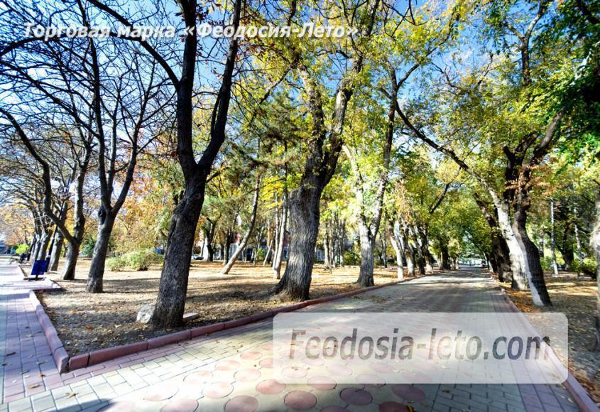 Юбилейный парк и фонтан Доброму гению в Феодосии - фотография № 5