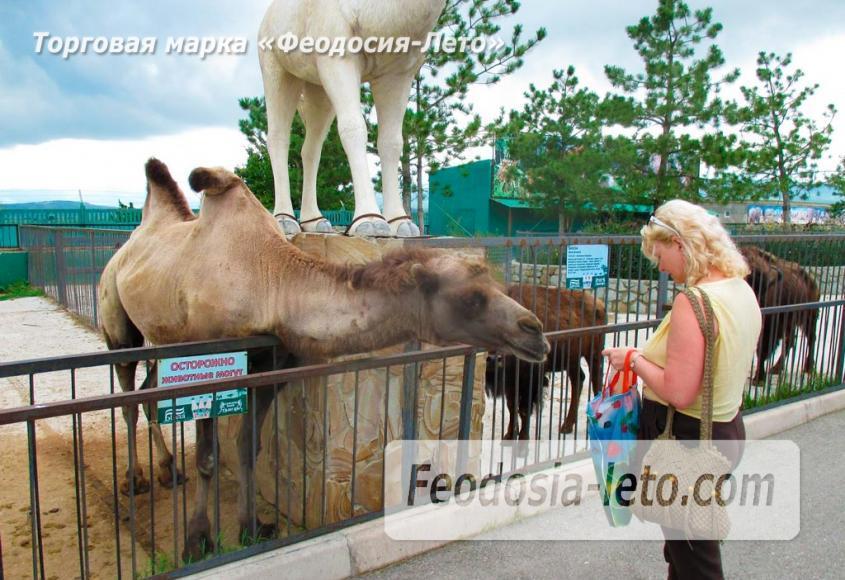 Крым Белогорск парк львов Тайган - фотография № 16
