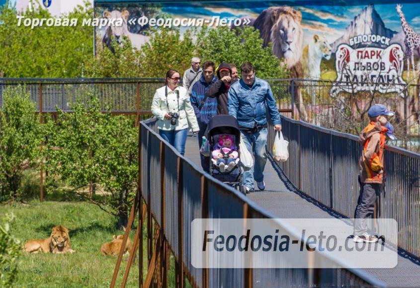 Крым Белогорск парк львов Тайган - фотография № 19