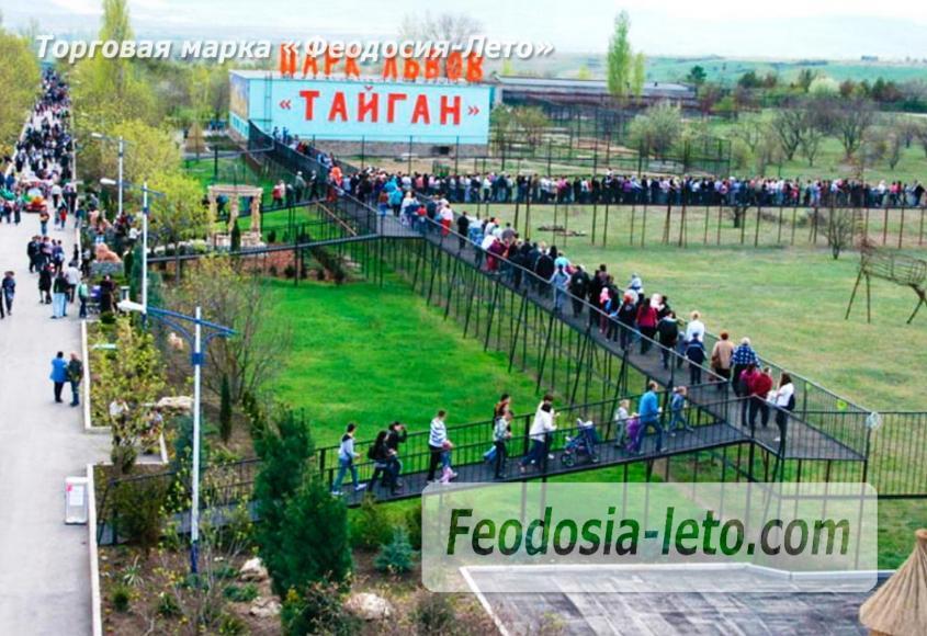 Крым Белогорск парк львов Тайган - фотография № 21