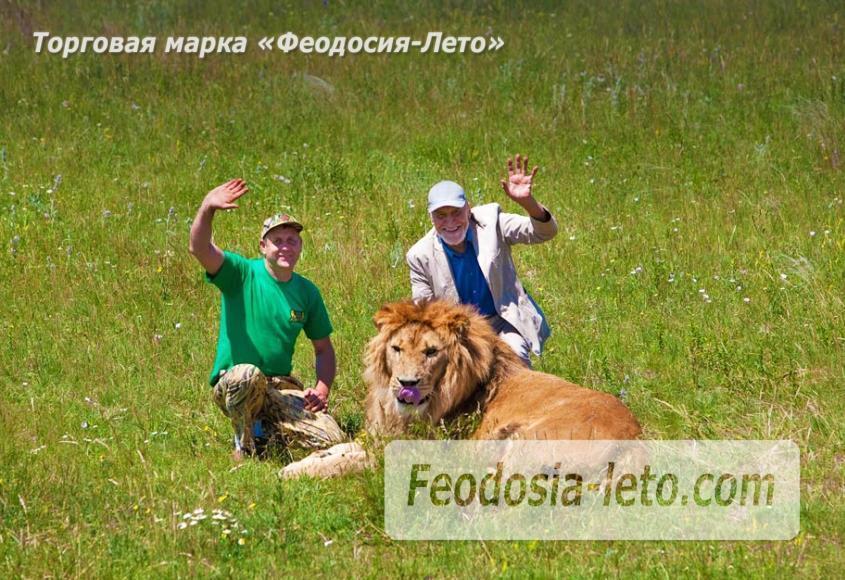 Крым Белогорск парк львов Тайган - фотография № 3